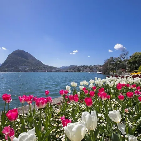 Central Apartamento Lugano